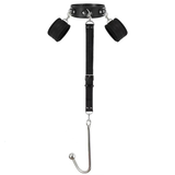 Anal Hook With Harness